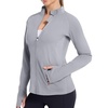 Silver Gray