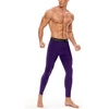 image:imageRoadbox 1 2 or 3 Pack Mens Compression Pants Athletic Base Layer Cycling Tights Leggings for Running Yoga Basketball1 Packpurple